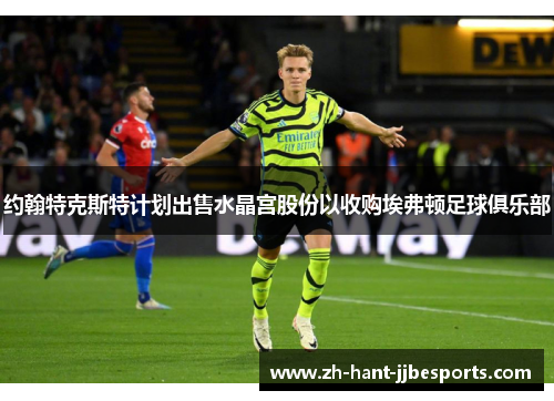 约翰特克斯特计划出售水晶宫股份以收购埃弗顿足球俱乐部