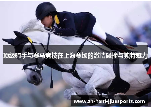 顶级骑手与赛马竞技在上海赛场的激情碰撞与独特魅力